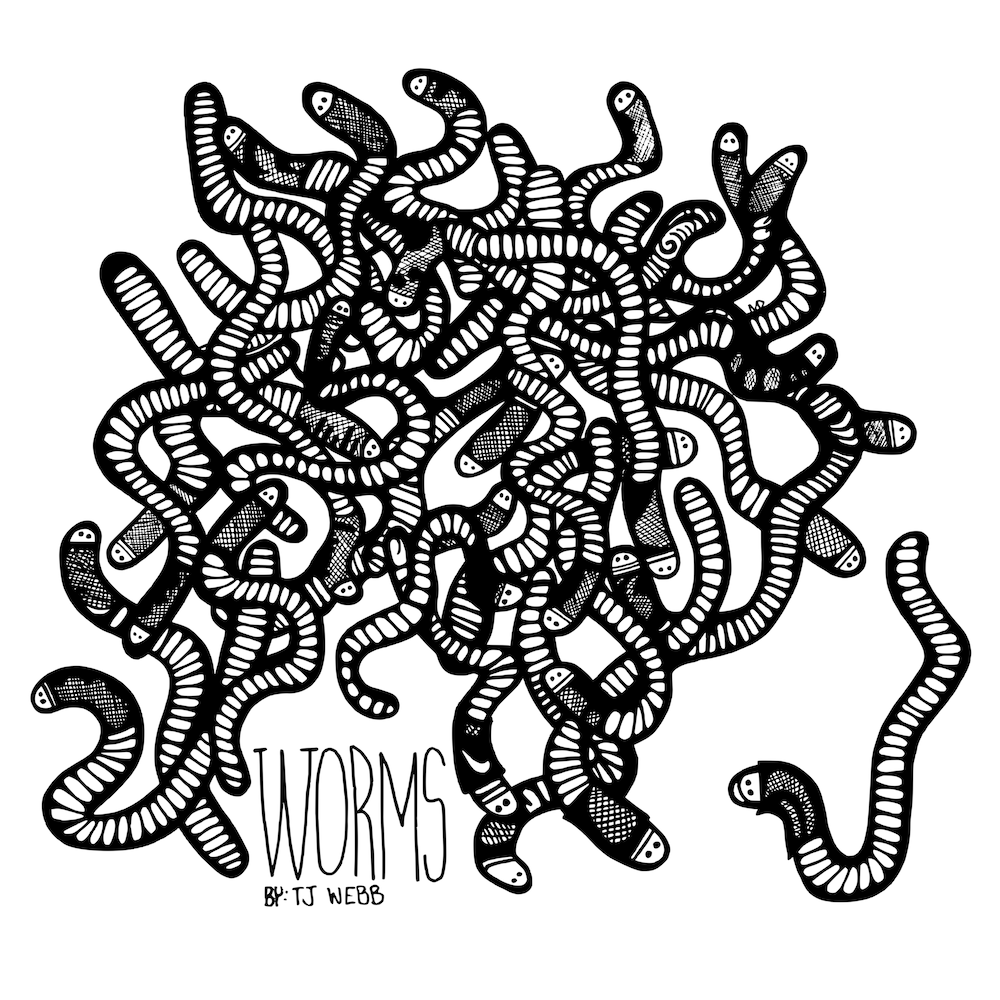 TJ Webb - Worms album cover